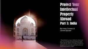 Analysis on how to protect your intellectual property abroad with a focus on India by Anna Corsaro, Daniel Djouder, and HEMEIS