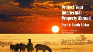 Analysis on how to protect your intellectual property abroad with a focus on South Africa by Anna Corsaro, Daniel Djouder, and HEMEIS